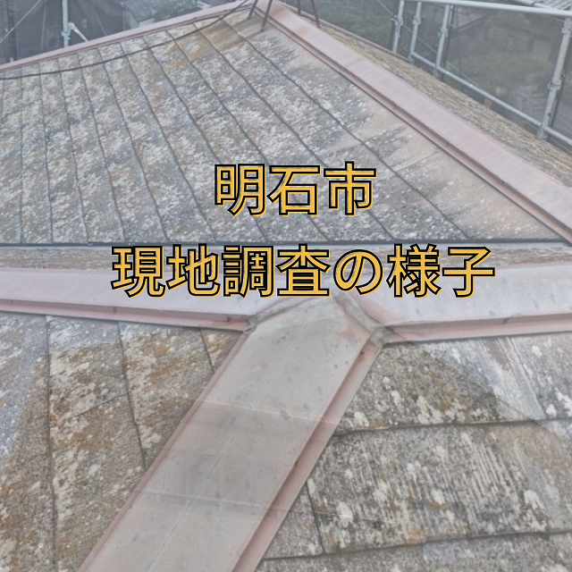 現地調査
