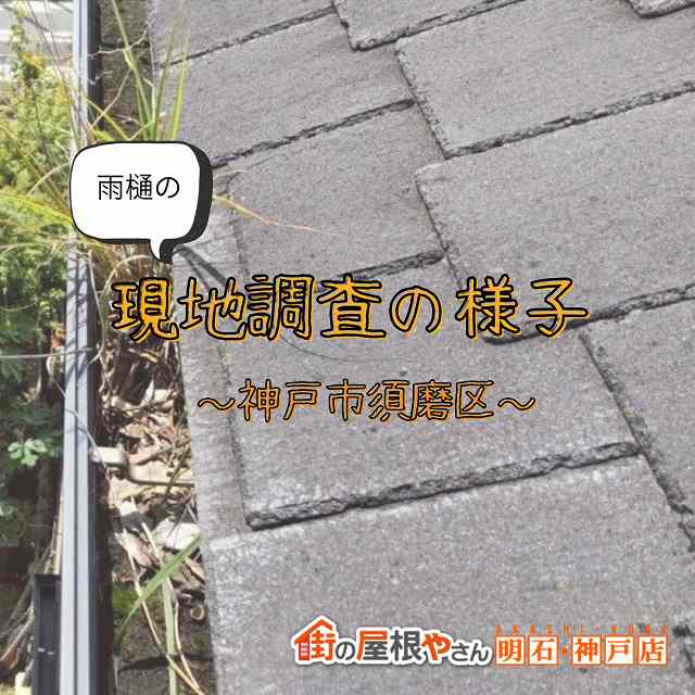 軒樋　雨樋　現地調査