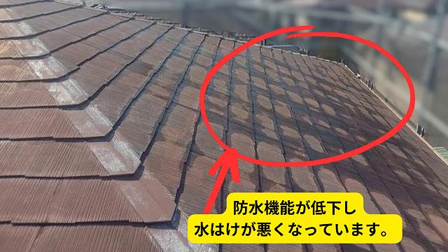 西播磨で屋根の現地調査！屋根材のスレートについても詳しくご説明