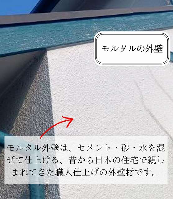🧱【神戸市須磨区】ツタを剥がして見えた真実。モルタル外壁の徹底調査レポート！