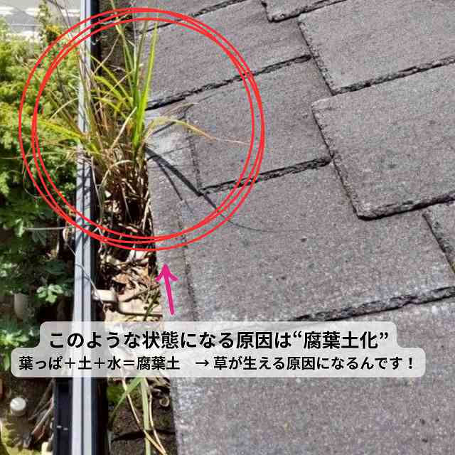 軒樋　雨樋