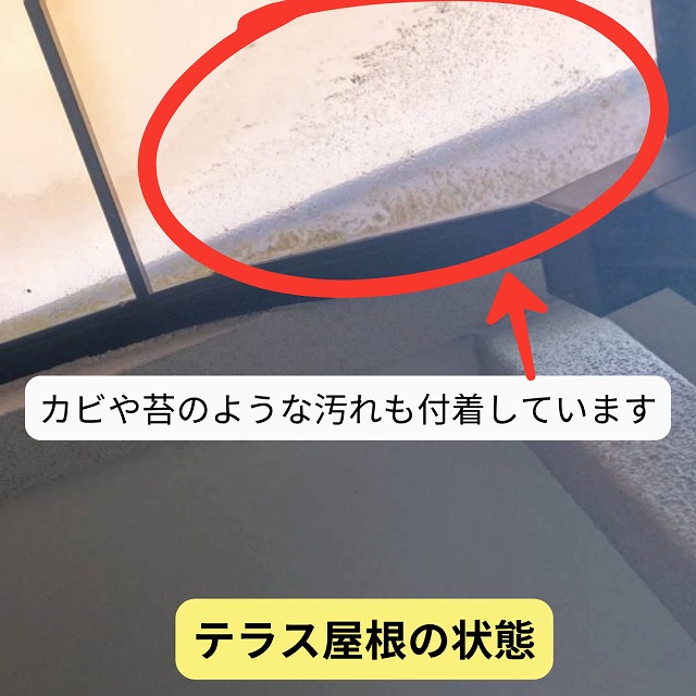 ポリカ板　カビ　苔
