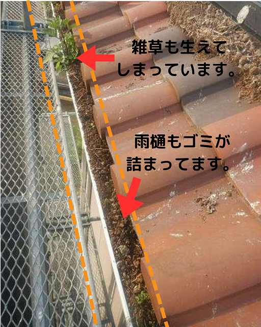 【明石市】太陽光パネル下の鳩被害を放置すると危険！現地調査で発覚。雨樋詰まりや雑草発生のメカニズムと解決策