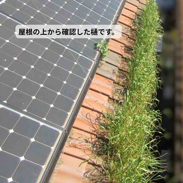 屋根　樋