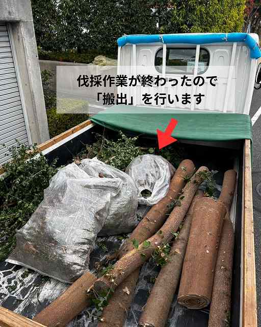 トラック　植栽