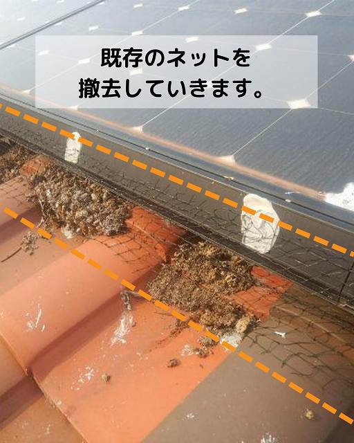 鳩被害　ネット　屋根　糞　巣