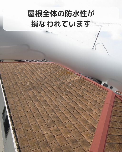 防水性低下の屋根