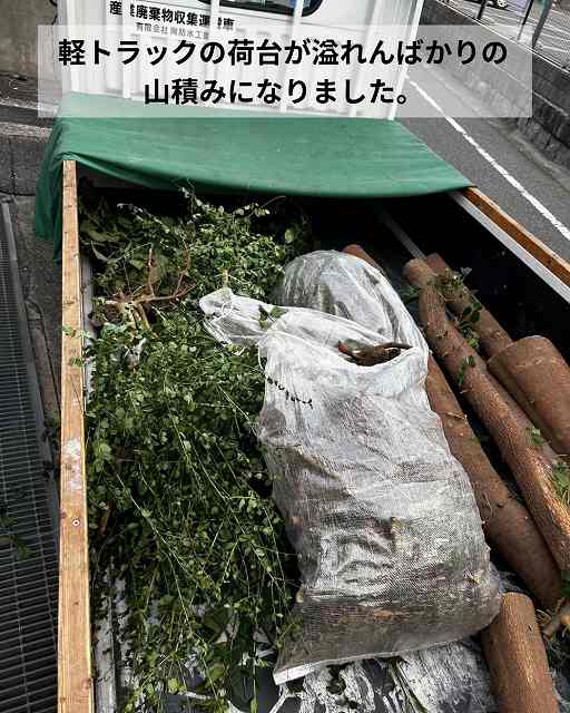 トラック　植栽