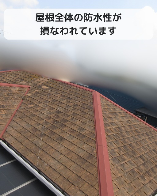 劣化した屋根全体