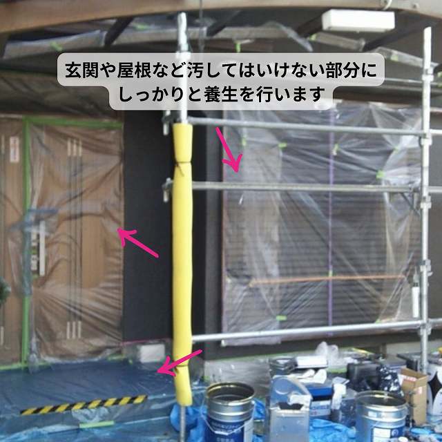 養生