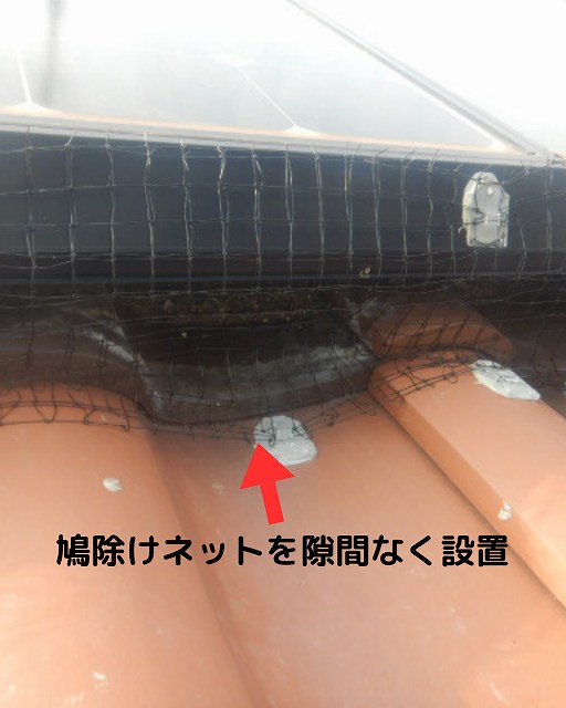 鳩除けネット　設置