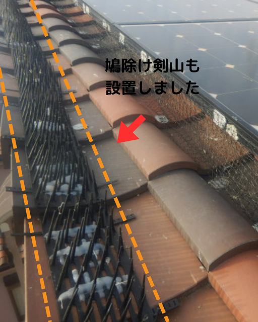 鳩除け　剣山設置
