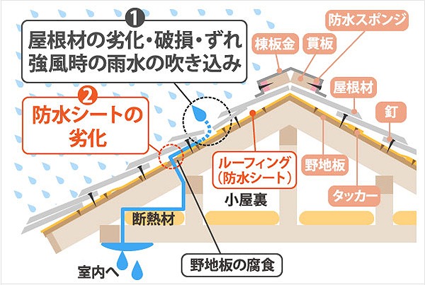 雨漏り　防水紙　重要性