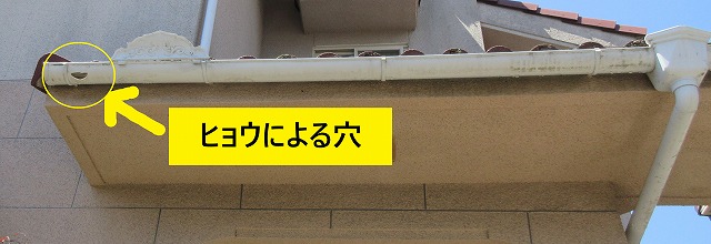 雨樋　穴　雹　破損　明石市　神戸市