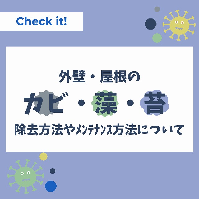 明石市の皆様へ、外壁や屋根のカビ・藻・苔に対する効果的な除去方法とメンテナンスをご紹介