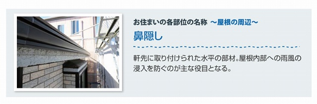 鼻隠し